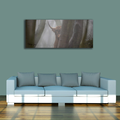 PANORAMIC - MISTIC MEG - 1.2m x 50cm